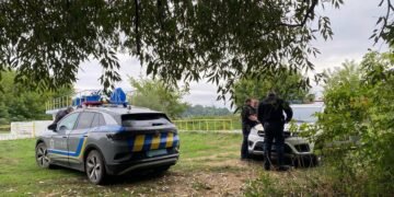 Піна на воді та тисячі мертвих риб: на Київщині масовий мор риби