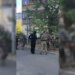 Стрілянина у Києві: через напад на СБУ розпочато розслідування