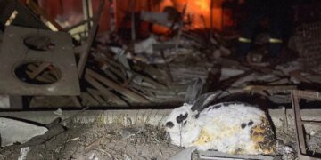 Россия атаковала дронами Сумскую область: один человек погиб, спасатели выносили животных из огня. ФОТО