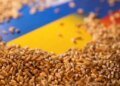 Блокада портов Одесской области ударила по экспорту зерна — падение на 76 %