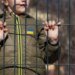 Украденное детство: в Россию депортирован 20 651 ребенок, возвращены лишь 2 627