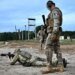 Французские инструкторы обучают украинских военных тактике боя и ремонту техники