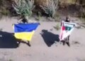 Очередной результат операции «Вивальди»: бойцы ВСУ подняли украинские флаги в пяти селах Донецкой области