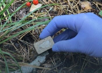 Тисячі брикетів із вакциною з’являться у Києві: кого ними рятуватимуть