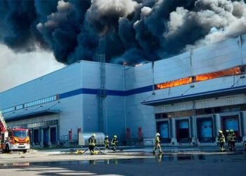 Тонни зіпсованої продукції після атак: Київщина готує екстрений план утилізації