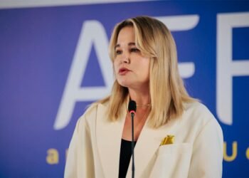 Украина меняет запросы на оружие: Гетьманчук назвала главные направления