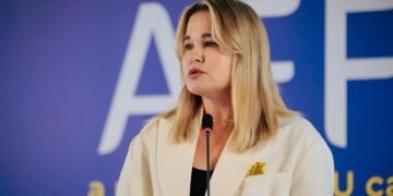 Украина меняет запросы на оружие: Гетьманчук назвала главные направления