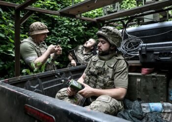 Самая большая закупка пикапов для ВСУ: Минобороны отчитывается об сэкономленных миллиардах