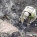 Не здетонувала після удару: у Києві знайшли бойову частину балістичної ракети