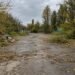 Київ під загрозою втрати понад 1 га землі: суд заблокував оформлення території кіностудії Довженка