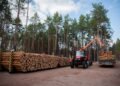 Корпоратизація ДП “Ліси України”: що зміниться з перетворенням в акціонерне товариство