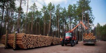 Корпоратизація ДП “Ліси України”: що зміниться з перетворенням в акціонерне товариство