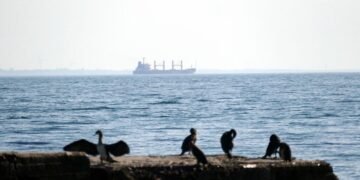 Російські атаки майже зупинили експорт через порти Великої Одеси, – The Telegraph