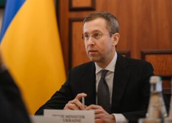 Корецький розкрив головну мету підвищення ПДВ в Україні