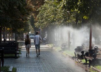 В Украину идет теплый воздух с юга: где завтра будет жарче всего