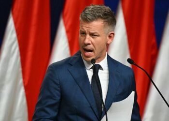 Мадьяр сравнил украинскую “Карпатскую восьмерку” с сельским футболом
