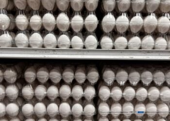 Яйця подорожчали: які ціни на продукти пропонують супермаркети 31 серпня