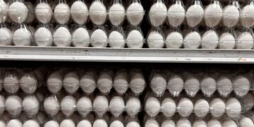 Яйця подорожчали: які ціни на продукти пропонують супермаркети 31 серпня
