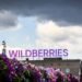Скільки РФ втратила від ударів по складах провідних маркетплейсів Wildberries та OZON