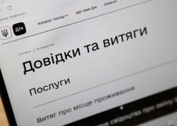 На Київщині тимчасово не працює частина послуг «Дії»: кого це зачепить