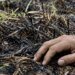 «Россия продолжает бить по людям»: в Кировоградской области погиб мужчина, травмирована женщина