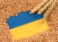 Польша и Румыния отказались помочь Украине с экспортом зерна