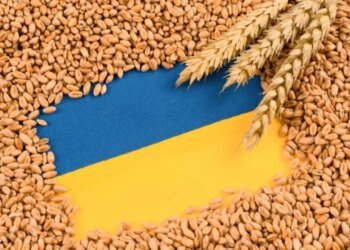 Польша и Румыния отказались помочь Украине с экспортом зерна