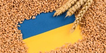 Польша и Румыния отказались помочь Украине с экспортом зерна