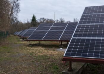 Енергонезалежність за 3 роки: у D.Solutions розповіли, як бізнес може заробляти на електроенергії