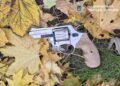Застрелив чоловіка та сховав зброю під листям: подробиці вбивства в Києві