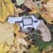Застрелив чоловіка та сховав зброю під листям: подробиці вбивства в Києві