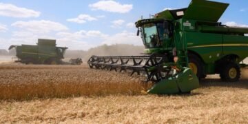 Ресурс спрямують на стійкість бізнесу. “Кернел” підсумував фінансовий рік