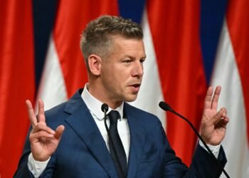 Мадяр оголосив своє рішення щодо транзиту українського зерна через Угорщину