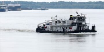 Не лише російські атаки: що гальмує український експорт через Дунай